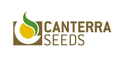 Canterra Seeds