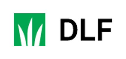 DLF