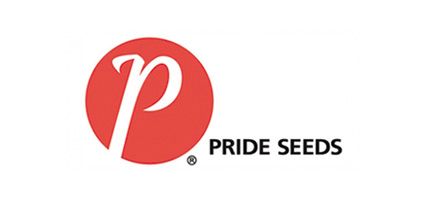 Pride Seeds